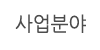 사업분야
